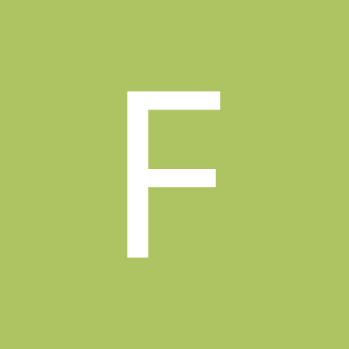 flnt