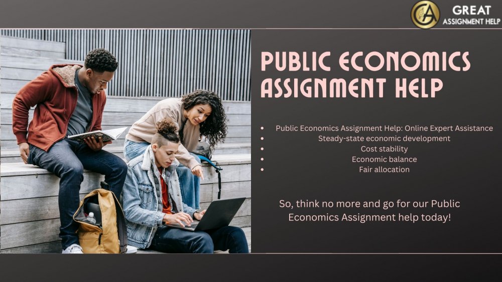 Public Economics Assignment help.jpg